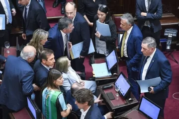 Escándalo en el Senado: La oposición abandonó el recinto y se cayó la sesión