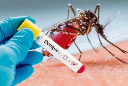 Dengue: confirmaron tres muertes y los casos siguen en aumento
