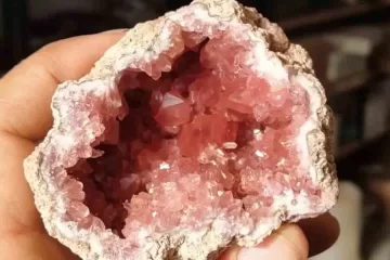 Hallan un tesoro natural único en el mundo en el desierto neuquino￼