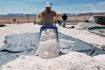Litio: impulsan proyecto para nacionalizar la extracción y comercialización