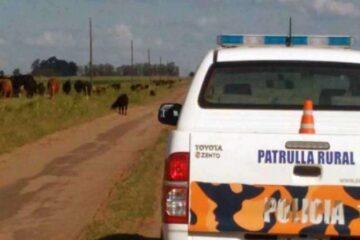 Tragedia en Salliqueló: un hombre murió en un establecimiento rural