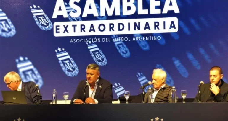 La AFA eliminó un descenso de la Liga Profesional La AFA eliminó un descenso de la Liga Profesional