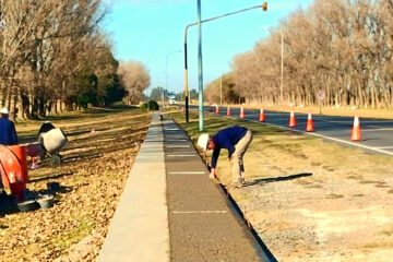 Avanza la obra de la senda peatonal en el acceso a Rivera
