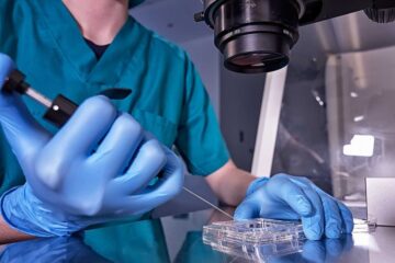 Científicos crearon los primeros modelos de embriones sintéticos humanos