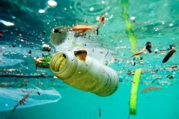 Día Mundial de los Océanos: cubren el 70% del planeta y produce el 50% del oxígeno