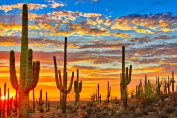 Cambio Climático: Una región de México superó los 80 grados, según la NASA