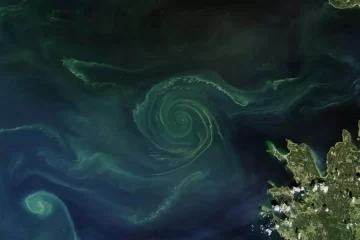 Los océanos están cambiando de color por el cambio climático