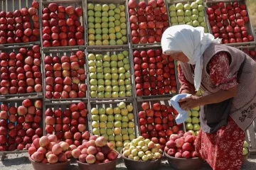La ONU alertó que 735 millones de personas sufren hambre en todo el mundo