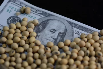 Ya se vendieron 5 millones de toneladas de granos con el nuevo dólar agro