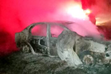 Ruta 14: Se le cruzó un animal, despistó, chocó con una planta y se le incendió el auto