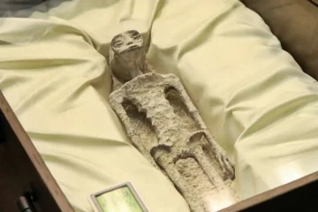 Ufólogo muestra en el Congreso Méxicano presuntos cuerpos extraterrestres de 1.000 años de antigüedad Ufólogo muestra en el Congreso Méxicano presuntos cuerpos extraterrestres de 1.000 años de antigüedad