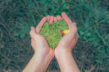 «Cultura Ambiental», el concurso de la Provincia para concientizar sobre las problemáticas ambientales