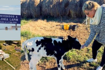 Lapin con ojos de mujer: Betina Soquiransky se sumó al “Triangulo Turístico Rural”