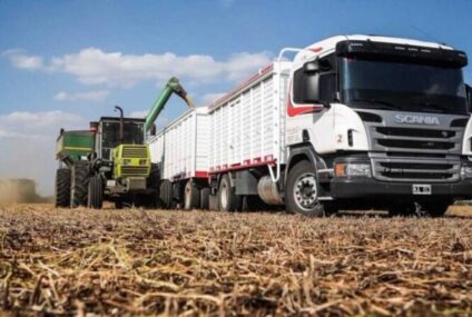 El costo de transportar granos en camiones se lleva hasta un 30% del valor de la cosecha El costo de transportar granos en camiones se lleva hasta un 30% del valor de la cosecha