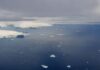 Calentamiento global: La extensión de hielo del Ártico alcanzó mínimos históricos, según un nuevo estudio Calentamiento global: La extensión de hielo del Ártico alcanzó mínimos históricos, según un nuevo estudio