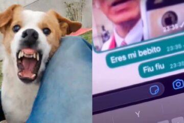 Murió Pancho, el «Perrito Malvado» de Coronel Suárez