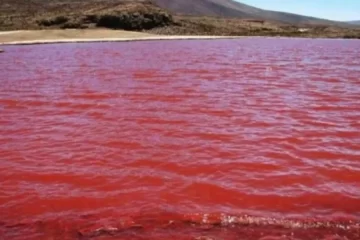 El Río Nilo se tiñó de rojo: las razones del fenómeno