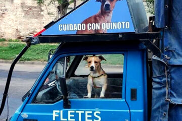 “No dejo mi compañero por nada”: Un fletero rechazó un trabajo porque no lo dejan entrar con su perro “No dejo mi compañero por nada”: Un fletero rechazó un trabajo porque no lo dejan entrar con su perro
