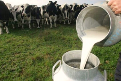 Día Mundial de la Leche: una fecha para destacar su valor nutricional y debatir sobre alimentación y acceso Día Mundial de la Leche: una fecha para destacar su valor nutricional y debatir sobre alimentación y acceso