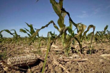 Por la sequía, la Provincia perdió más de 3 mil millones de dólares del agro
