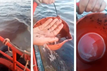 Bahía Blanca: Preocupación por un derrame de petróleo en la ría Bahía Blanca: Preocupación por un derrame de petróleo en la ría
