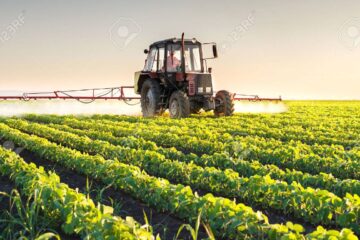 El Gobierno eliminará los aranceles para importar fertilizantes