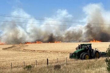 Incendios rurales: la Nación asegura que en la zona el peligro es muy alto