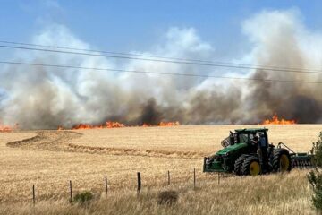 Incendio en la comarca serrana consumió 100 hectáreas de campo