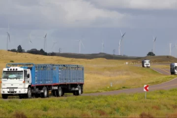 Vialidad Nacional recomienda no circular por rutas nacionales en la zona afectada por el temporal de Bahía