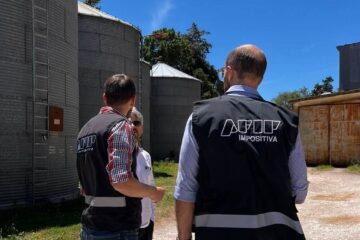 Acopio clandestino: AFIP interdictó más de 850 toneladas de granos de trigo y cebada en Tres Arroyos