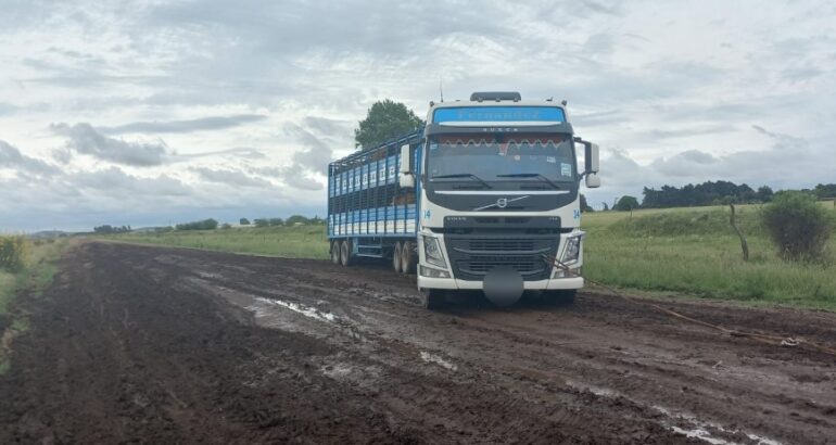 Caminos rurales: el 79% de los productores bonaerenses dicen que están en malas condiciones Caminos rurales: el 79% de los productores bonaerenses dicen que están en malas condiciones