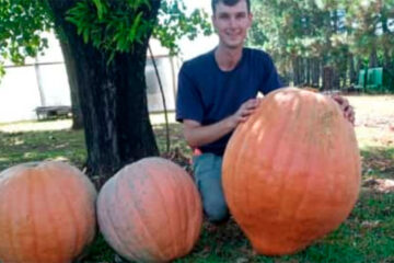 Una Familia cosechó un zapallo gigante de 59 kilos