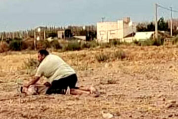 Robo a un repartidor de Darregueira: «Los vecinos no se querían involucrar hasta que lo agarramos nosotros»