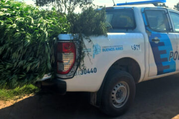 Rivera: Recuperan una moto robada y hallan 7 plantas de marihuana en la casa del sospechoso