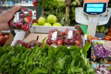 El Gobierno eliminó restricciones para la exportación e importación de alimentos