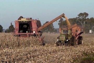 La agroindustria generó el 55% de las exportaciones argentinas en 2023