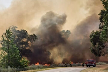 Un incendio obligó a cortar el acceso a Monte Hermoso Un incendio obligó a cortar el acceso a Monte Hermoso