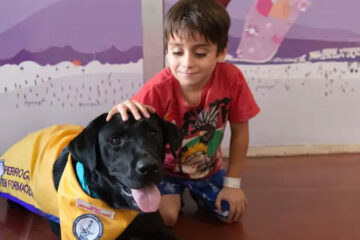 El Garrahan implementa la terapia asistida con perros para pacientes internados