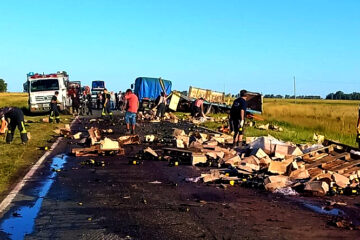 Volcó un acoplado en ruta 226 y generó un gran derrame de botellas de vino Volcó un acoplado en ruta 226 y generó un gran derrame de botellas de vino