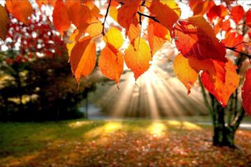 Con el equinoccio comenzó el otoño en la Argentina