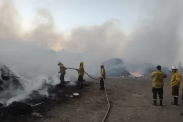 Bordoni le puso fecha a la erradicación del basural entre Sierra y Saldungaray