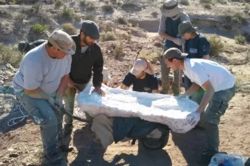 Hallan en Río Negro un dinosaurio herbívoro que vivió hace 90 millones de años