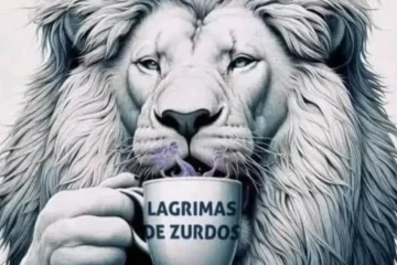 Milei y un mensaje controvertido en las redes para referirse a la marcha Milei y un mensaje controvertido en las redes para referirse a la marcha