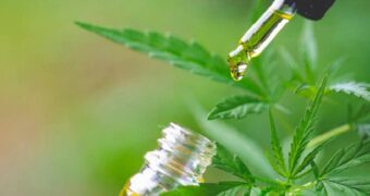 La Provincia creó un Consejo Asesor para fortalecer las políticas de cannabis terapéutico La Provincia creó un Consejo Asesor para fortalecer las políticas de cannabis terapéutico