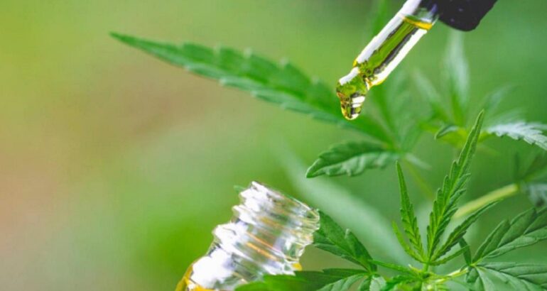 La Provincia creó un Consejo Asesor para fortalecer las políticas de cannabis terapéutico La Provincia creó un Consejo Asesor para fortalecer las políticas de cannabis terapéutico