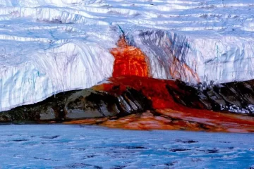 Fin del misterio: revelaron el origen de las «cataratas de sangre», un enigma que demoró 100 años