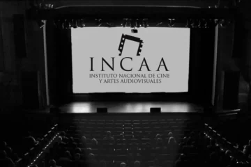 El INCAA gasta más de 250 mil dólares en el mantenimiento de su página web