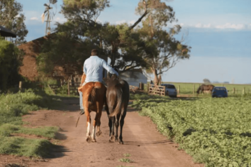 Aumenta la prestación por desempleo de trabajadores rurales