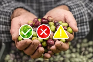 Inflación: más de la mitad de las economías regionales están en crisis