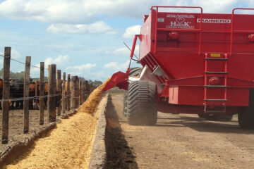 La tasa de interés baja y la rentabilidad sube: los feedlots vuelven a ganar dinero